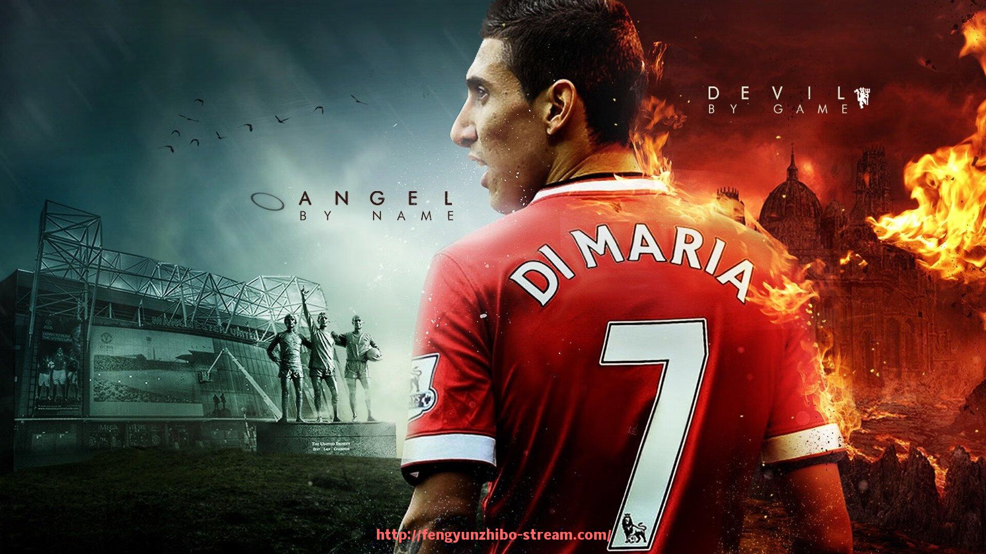 风云直播-男士健身器材选购建议与塑形力量训练组合